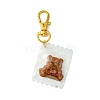 Resin Pendant Decorations HJEW-JM02892-4