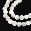 Natural White Shell Bead Strands SSHEL-N003-144D-01-3