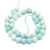 Natural Amazonite Beads Strands G-K310-A02-10mm-2