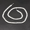 Natural Rainbow Moonstone Beads Strands G-E569-H07-2