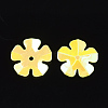 Ornament Accessories PVC-S033-08G-2