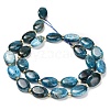 Natural Apatite Beads Strands G-H005-A03-02-3