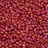 TOHO 6/0 Round Beads X-SEED-TR06-0768-4