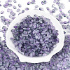 Frosted Glass Seed Beads SEED-N008-05I-2