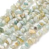 Natural Flower Amazonite Chips Beads Strands X-G-M205-12B-2