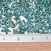 MIYUKI Delica Beads SEED-J020-DB2381-4
