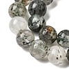 Natural Fuchsite Beads Strands G-K285-40D-1-4