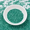 MIYUKI Delica Beads SEED-JP0008-DB1813-2