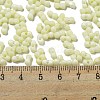 Macaron Color Opaque Frosted Glass Seed Beads SEED-K009-12B-15-4