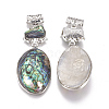 Natural Abalone Shell/Paua Shell Big Pendants SSHEL-F303-05-01-2