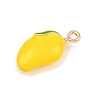 Fruit Alloy Enamel Pendants LS-ENAM-P264-02I-G-3