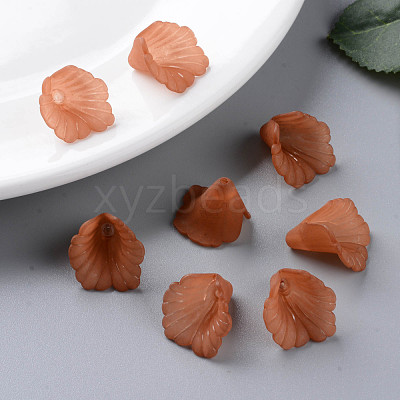 Transparent Acrylic Bead Caps PL551-C06-1