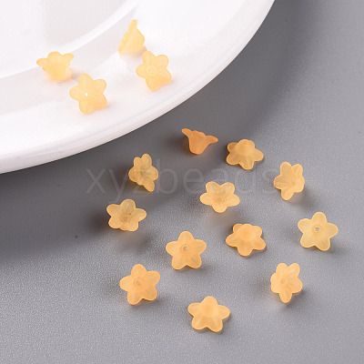 Transparent Acrylic Beads PL554-07-1