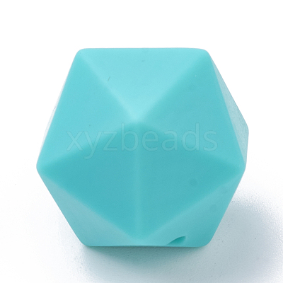 Food Grade Eco-Friendly Silicone Focal Beads SIL-T048-14mm-06-1