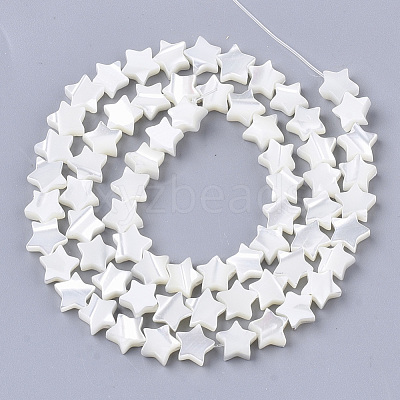 Natural Trochid Shell/Trochus Shell Beads Strands SHEL-T013-007A-01-1