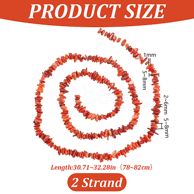Natural Freshwater Shell Beads Strands BSHE-WH0006-05C-1