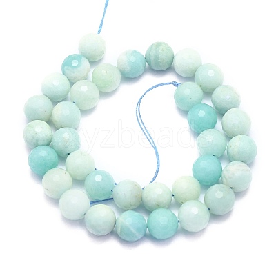 Natural Amazonite Beads Strands G-K310-A02-10mm-1
