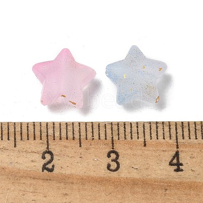 Frosted Acrylic Charms OACR-M023-04G-1