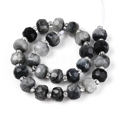 Natural Eagle Eye Stone Beads Strands G-N327-08A-02-1