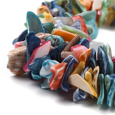 Natural Spiral Shell Beads X-BSHE-B003-17-1