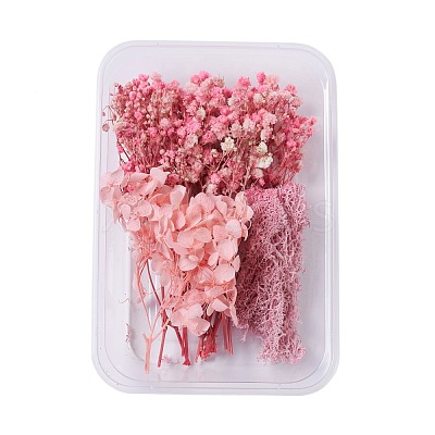Dried Flowers DIY-D052-05-1