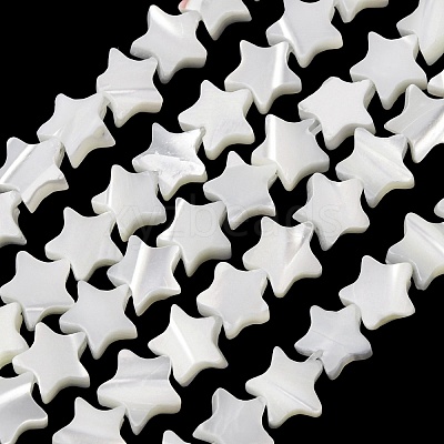 Natural Trochid Shell/Trochus Shell Beads Strands SH-CBA2978-17A-1