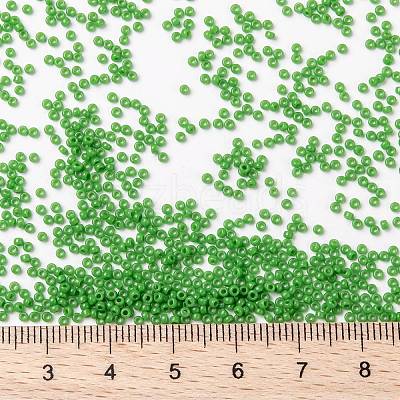 MIYUKI Round Rocailles Beads X-SEED-G009-RR0411-1