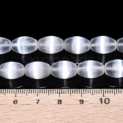 Dyed Natural Selenite Beads Strands G-T138-233A-1