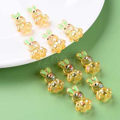 Transparent Acrylic Beads MACR-S373-81-Q01-1