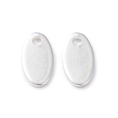 304 Stainless Steel Charms STAS-L234-065D-S-1