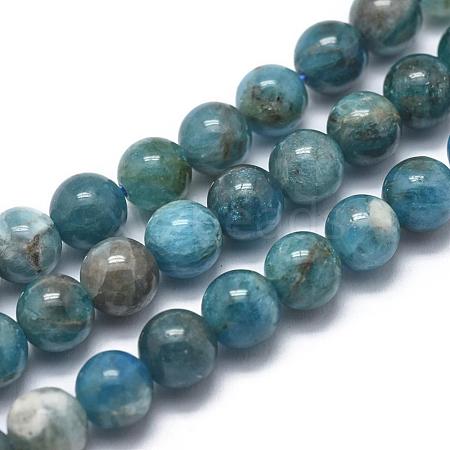 Natural Apatite Beads Strands G-I254-08D-1