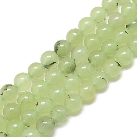 Natural Prehnite Beads Strands G-S300-118-8mm-1