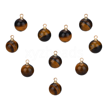 SUNNYCLUE Natural Tiger Eye Charms G-SC0001-49C-1