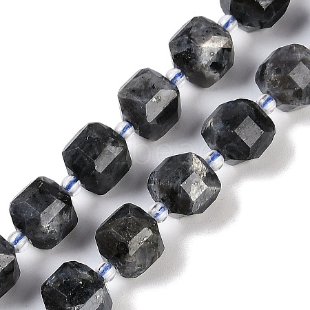 Natural Larvikite Beads Strands G-B125-O05-01-1