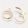 304 Stainless Steel Leverback Earring Findings STAS-F041-47-G-2