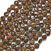 Natural Starburst Jasper Beads Strands G-K389-B24-01-1