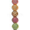 Painted Glass Beads Strands GLAA-F133-07C-1