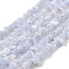 Natural Blue Lace Agate Chip Beads Strands G-E271-73-01-1