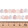 Electroplate Glass Beads Strands EGLA-N022-03A-A08-4