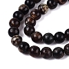 Natural Biotite Beads Strands G-Q616-01B-4