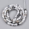 Natural Rainbow Moonstone Beads Strands G-T141-66-2