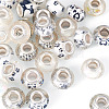 30Pcs Printed Transparent Resin European Beads RESI-TADJ0001-03D-2