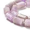 Natural Kunzite Beads Strands G-N327-06-36-4