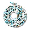 Natural Howlite Beads Strands G-C025-02A-07-3