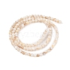 Natural Freshwater Shell Beads Strands SHEL-T011-02-3mm-2