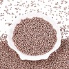 11/0 FGB Grade A Dyed Glass Seed Beads X-SEED-N001-C-0562-1