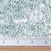 MIYUKI Round Rocailles Beads SEED-X0054-RR0263-2