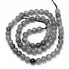 Natural Labradorite Round Bead Strands G-O087-05-6mm-3