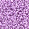 TOHO 3/0 Round Beads SEED-TR03-0943-2