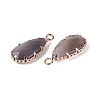 Natural Agate(Dyed & Heated) Faceted Pendants G-Q606-104G-03-2